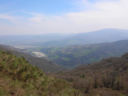 DSCN0728