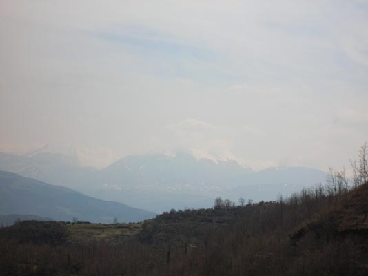DSCN0730