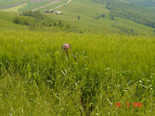 DSC00538