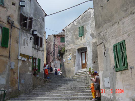 DSC00568