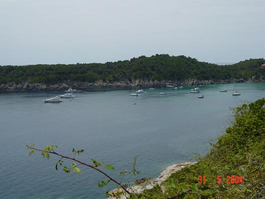 DSC00576