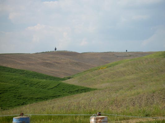 toscana2004 025