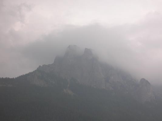 DSCN0972