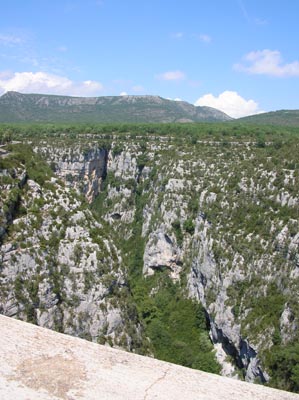 DSCN0248