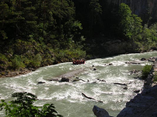 DSCN0266