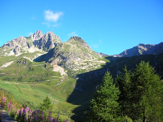 DSCN0331