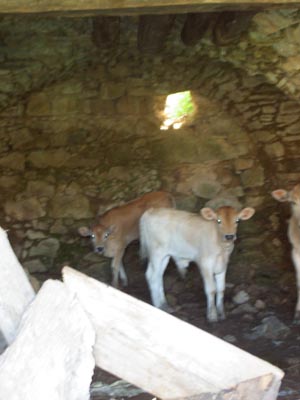 lucania06-2004-1 026