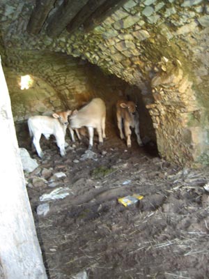 lucania06-2004-1 027