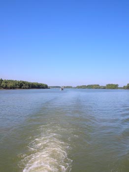 DSCN2784