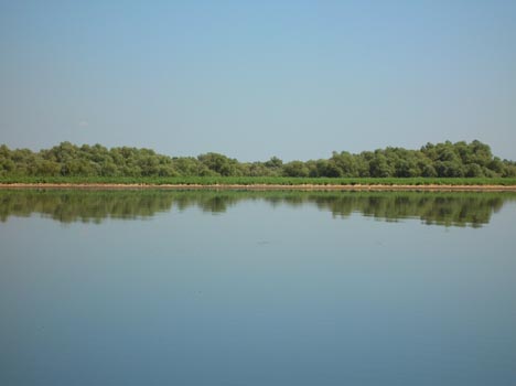DSCN2811