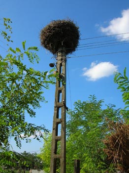 DSCN2814