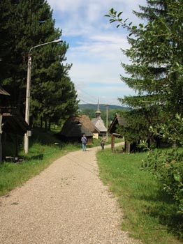 DSCN2651