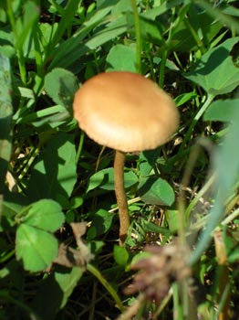 DSCN2682