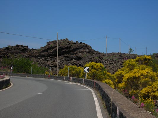 DSCN0821