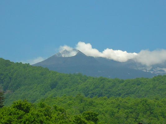 DSCN0829