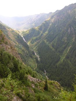 DSCN2882