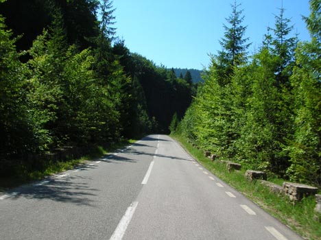 DSCN2959