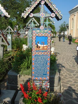 DSCN2998
