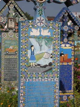 DSCN3003